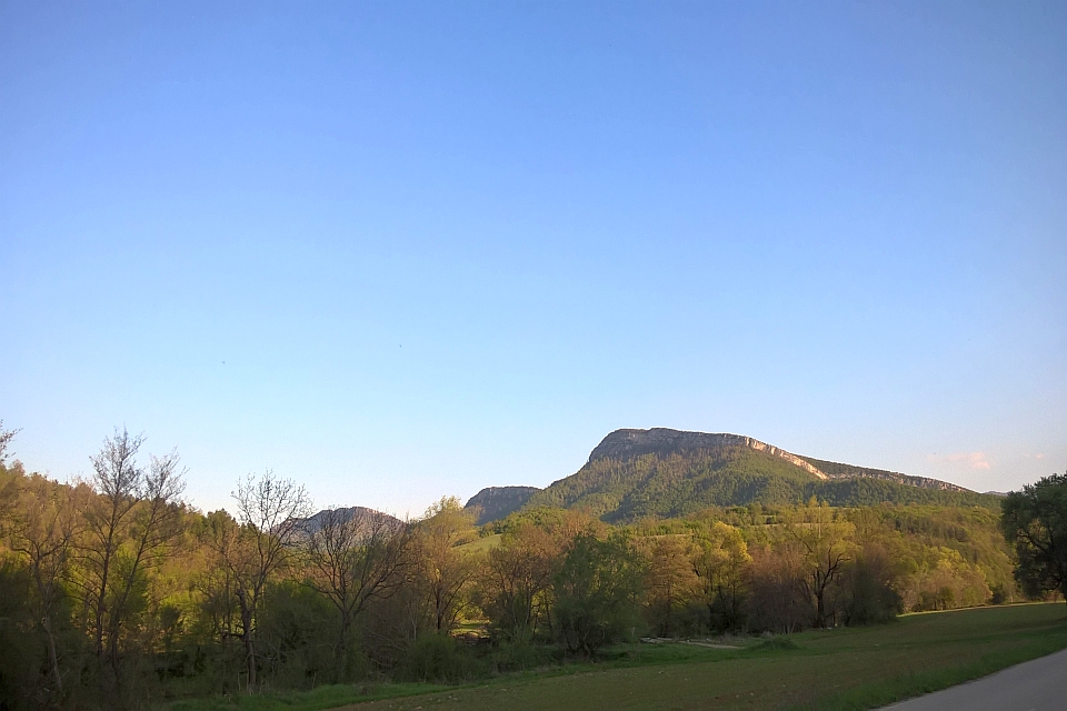 Grassy Field With Trees In The Foreground