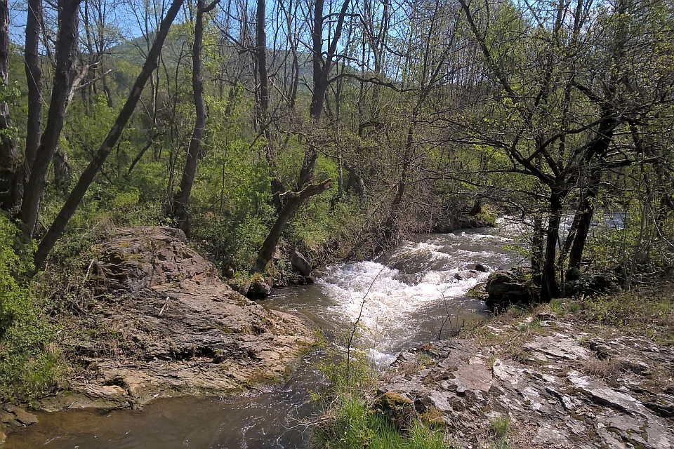 Rocky Creek Flows Through A Wooded Area
