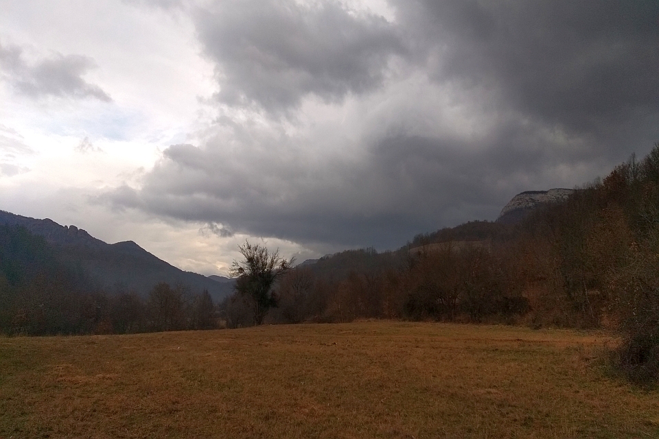 Field Of Dry, Brown Grass Stretches