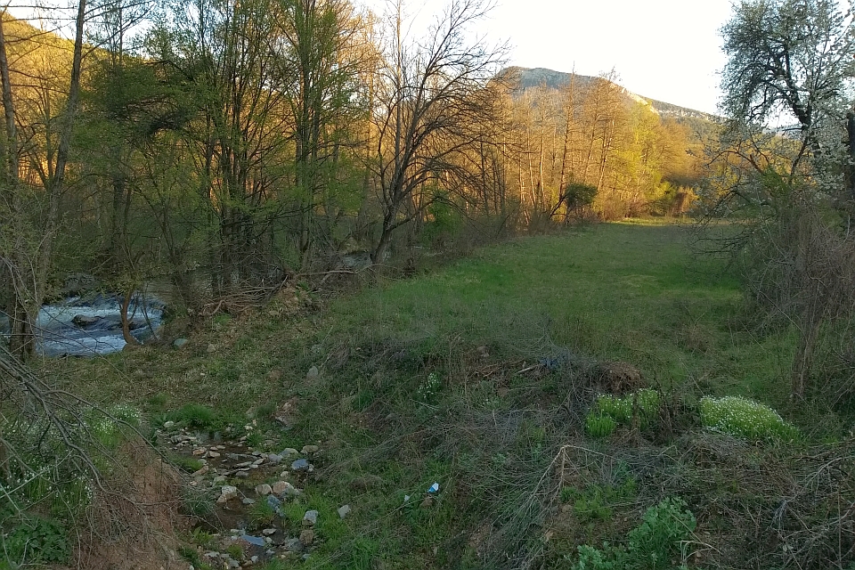 Small Creek Flows Through A Grassy Meadow