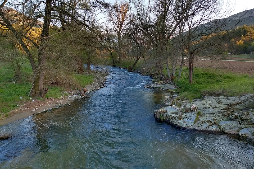 River Flows Through A Wooded Area