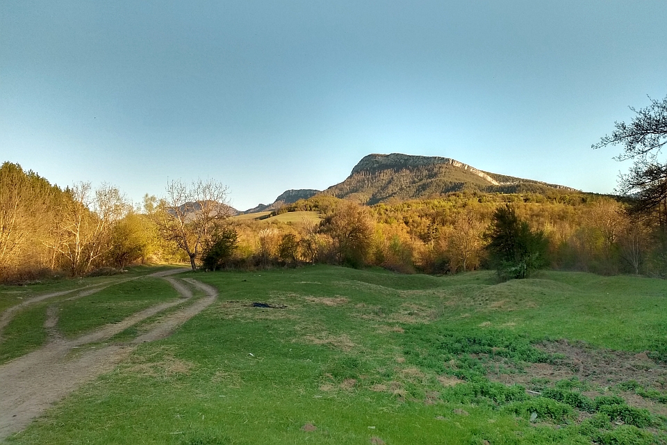 Dirt Road Winds Through A Grassy Field