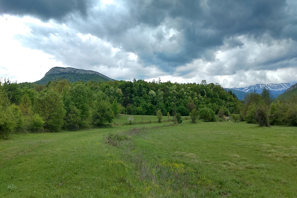 Green Field With Trees And Mountains