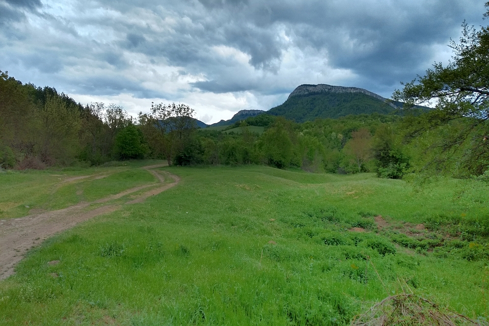 Grassy Field With A Dirt Road