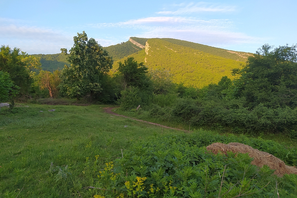 Grassy Clearing With A Dirt Path