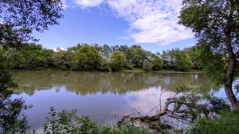 Where the river whispers secrets to the trees.