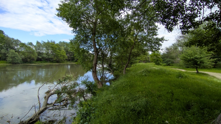 Finding peace in the quiet corners of the world.