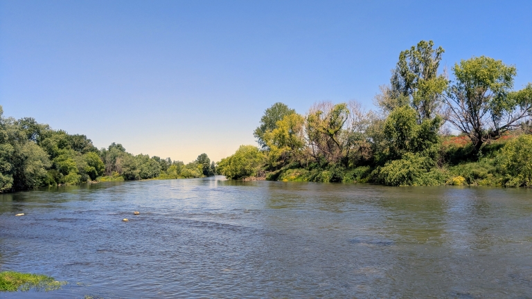 The river’s song, a symphony of calm.